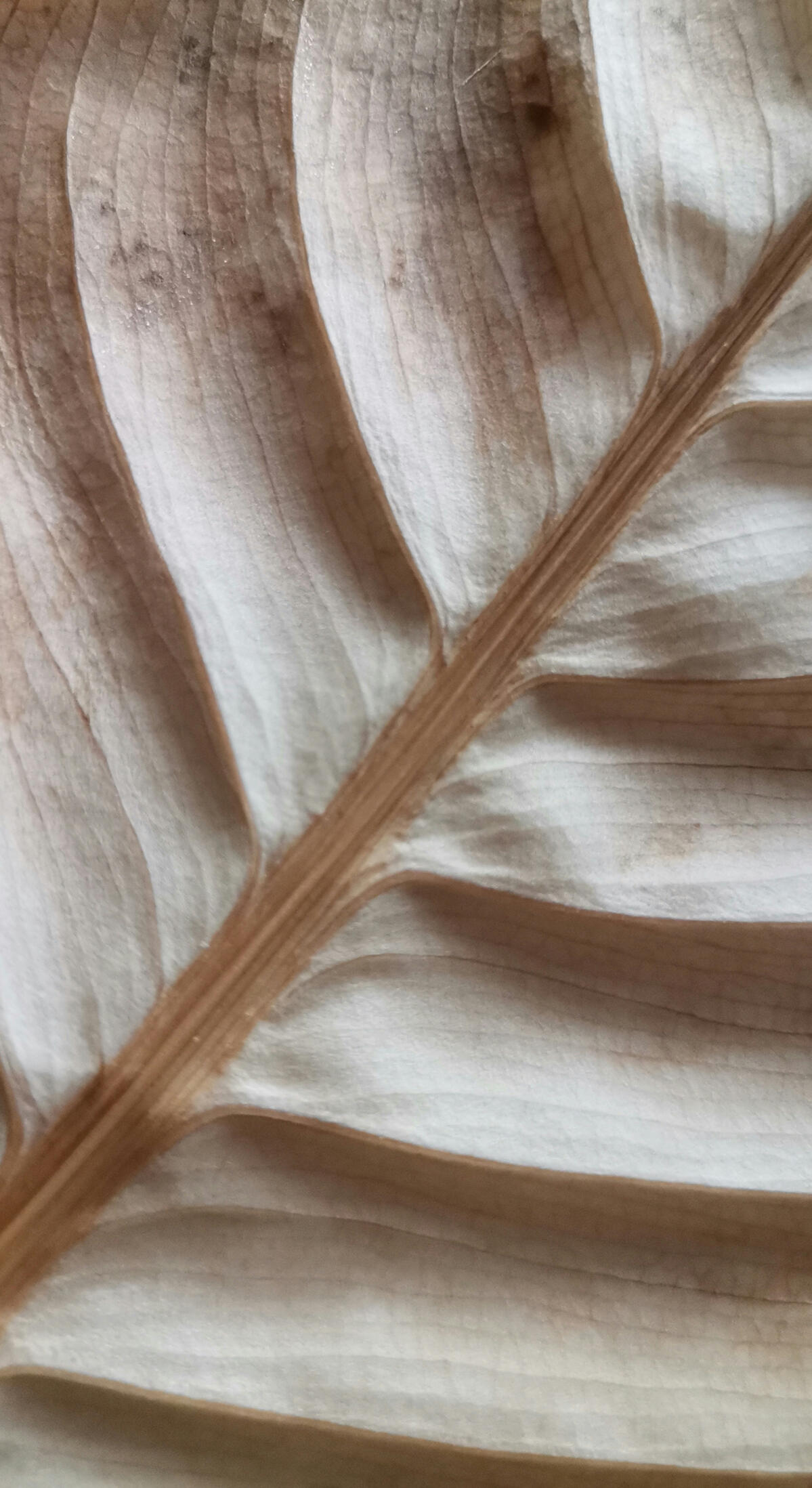 Club 887 Practice Club 887 Practice