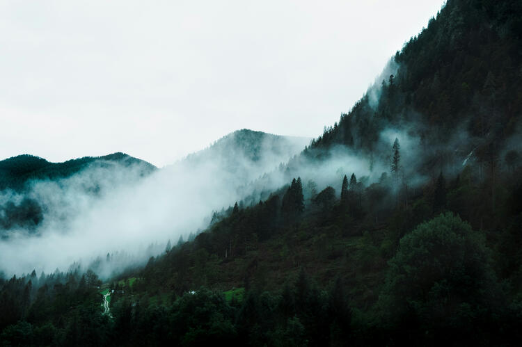Header
